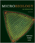 Microbiology Introduction 10th Edition
